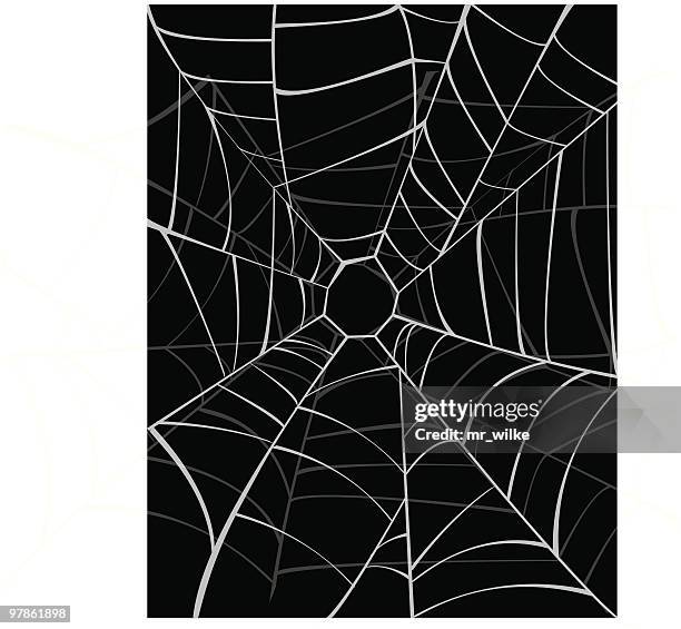 Sticky Web Inage 1,435 Sticky Web Stock Photos, High-Res Pictures, and Images - Getty Images