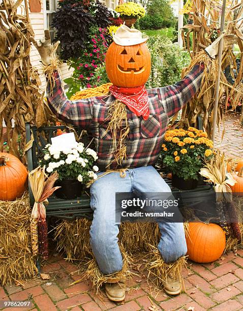 Scarecrow High-Res Stock Photo