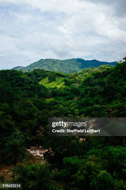 botanical gardens puerto vallarta - sheffield botanical stock pictures, royalty-free photos & images