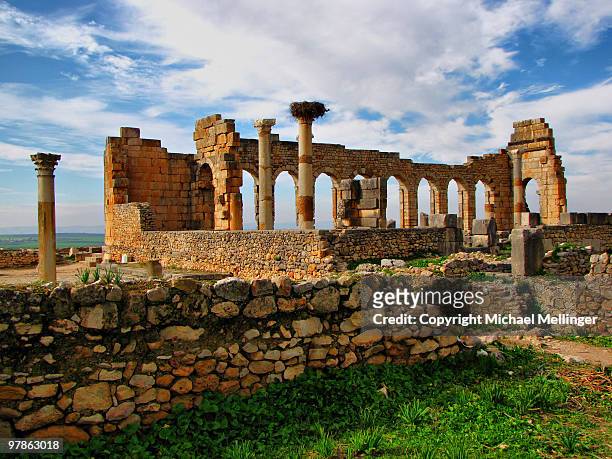 roman ruins - moulay idriss photos et images de collection