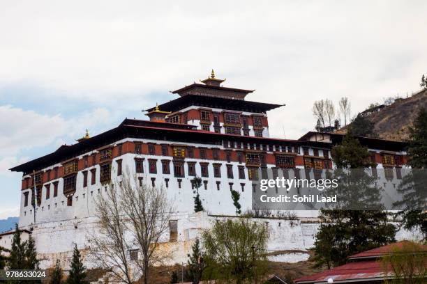 paro dzong - paro dzong stockfoto's en -beelden