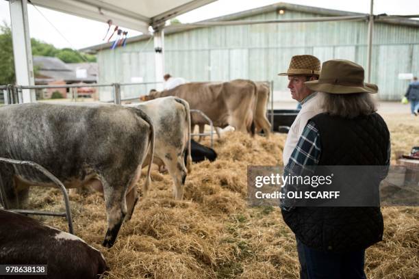 Members of the public view cattle on display on the first day of The Royal Cheshire County Show at Tabley, near Knutsford, northern England on June...