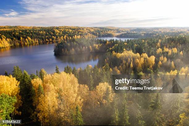 forest with lake in autumn on foggy day, finland - teemu tretjakov stock pictures, royalty-free photos & images