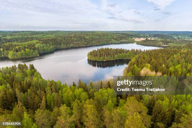 lake view with forest, finland - teemu tretjakov stock pictures, royalty-free photos & images