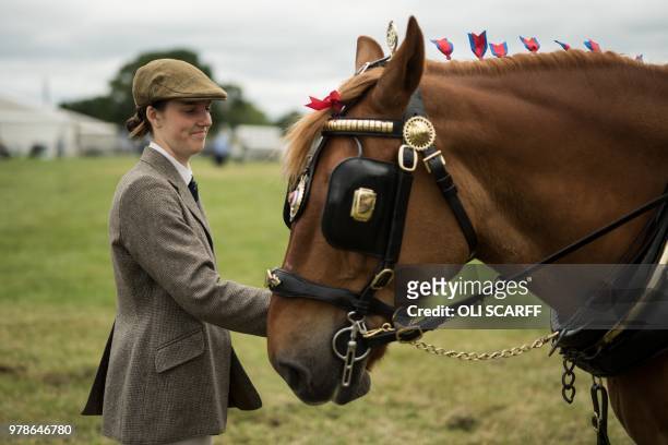 Woman controls a shire horse before entering a display ring on on the first day of The Royal Cheshire County Show at Tabley, near Knutsford, northern...