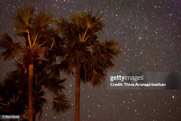 skies of jaffna - jaffna stock pictures, royalty-free photos & images