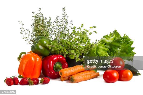 fresh - vegetables isolated stock pictures, royalty-free photos & images