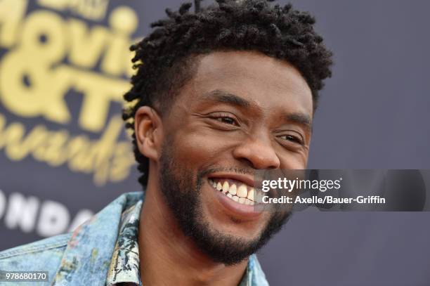 Actor Chadwick Boseman attends the 2018 MTV Movie And TV Awards at Barker Hangar on June 16, 2018 in Santa Monica, California.