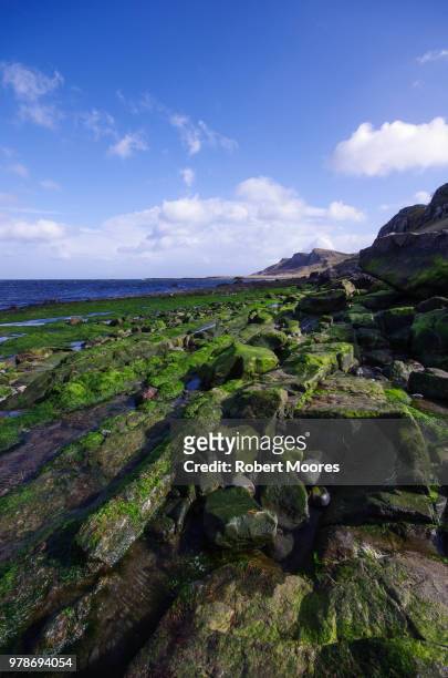 view of staffin beach, isle of skye, scotland, uk - staffin stock pictures, royalty-free photos & images