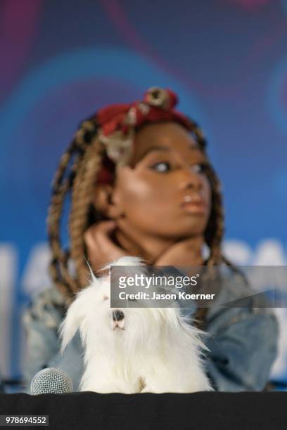 Imani Hakim on stage during the American Black Film Festival - Celebrity Scene Stealers Presented By TV One at Loews Miami Beach Hotel on June 15,...