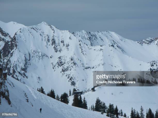 steep utah ski terrain - mark travers bildbanksfoton och bilder