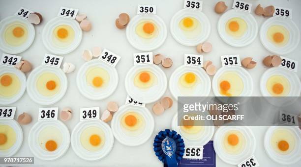 Cracked eggs are displayed after being judged on the first day of The Royal Cheshire County Show at Tabley, near Knutsford, northern England on June...