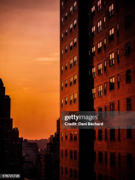 city and buildings at sunset, manhattan, new york city, new york, usa - east village stock-fotos und bilder