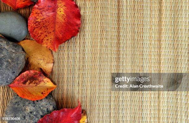 feng shui patterns of leaves, rocks, bamboo - riesenlauch stock-fotos und bilder