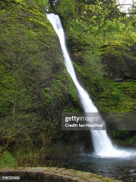 horsetail falls - horsetail falls stock pictures, royalty-free photos & images