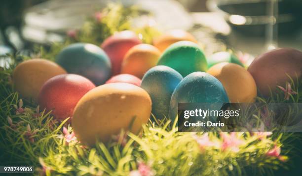 colorful easter eggs in grass - easter eggs stock-fotos und bilder