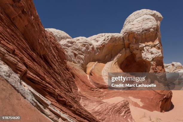 beauty of paria canyon, white pocket, arizona, usa - paria canyon stockfoto's en -beelden