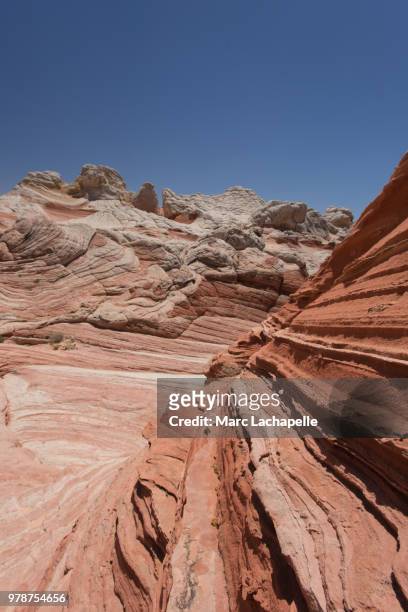 beauty of paria canyon, white pocket, arizona, usa - paria canyon foto e immagini stock