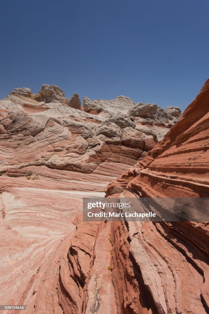 Beauty of Paria Canyon, White Pocket, Arizona, USA