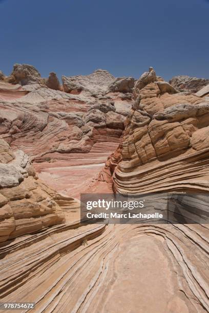 view of sandstones in paria canyon, arizona, usa - paria canyon foto e immagini stock