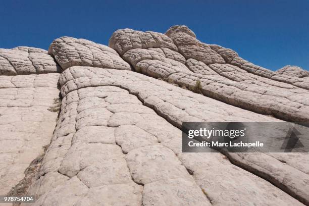 rock formation in paria canyon, arizona, usa - paria canyon stockfoto's en -beelden