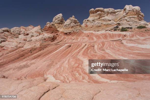 beauty of paria canyon, white pocket, arizona, usa - paria canyon foto e immagini stock