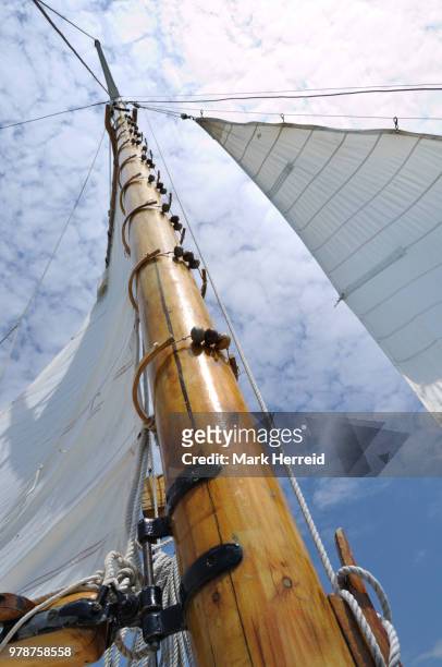foresail, jib, and wooden mast of schooner sailboat - jib stockfoto's en -beelden