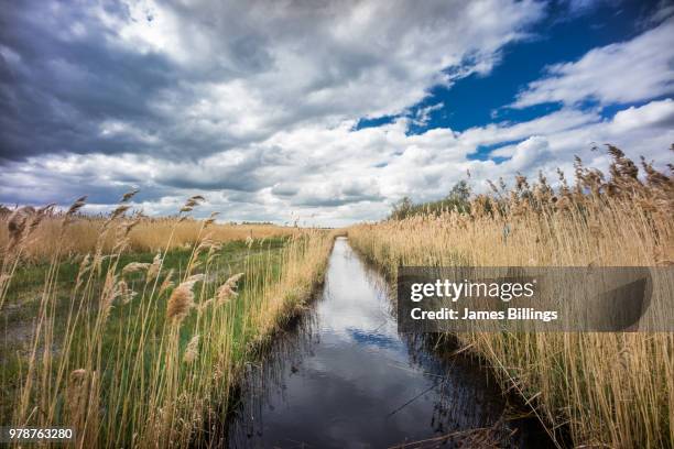 Fenland Fields Photos and Premium High Res Pictures - Getty Images