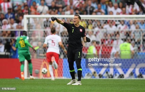 Wojciech Szczesny of Poland reacts after Mbaye Niang of Senegal breaks to score his team's second goal during the 2018 FIFA World Cup Russia group H...