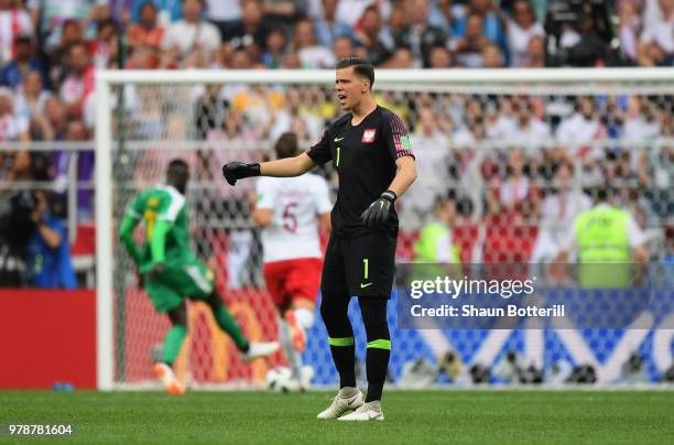 Wojciech Szczesny of Poland reacts after Mbaye Niang of Senegal breaks to score his team's second goal during the 2018 FIFA World Cup Russia group H...