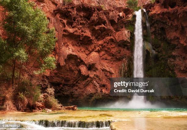 mooney falls, arizona, usa - mooney falls stock pictures, royalty-free photos & images