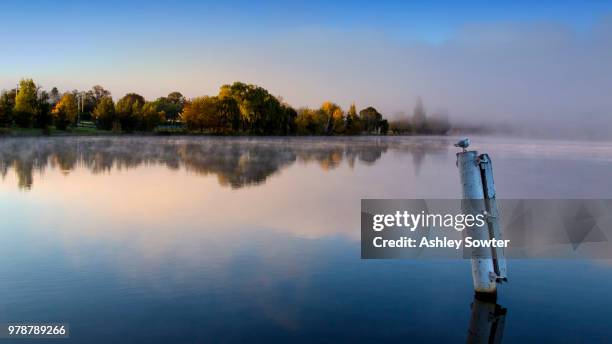 lake burley griffin - lake burley griffin stock pictures, royalty-free photos & images