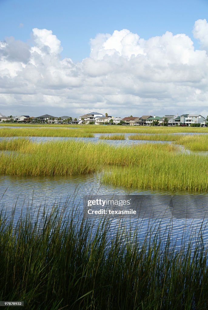 Waterfront houses