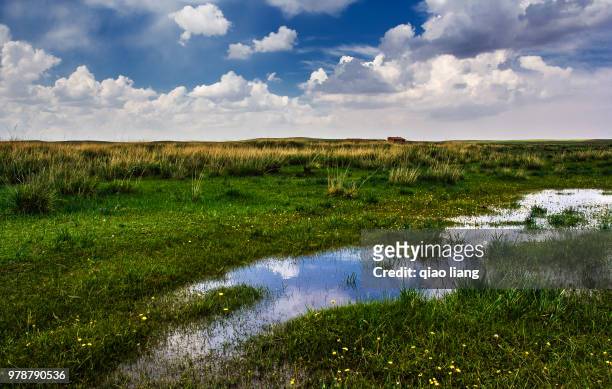 view of pond among grass, xilamuren, inner mongilia, china - qiao stock-fotos und bilder