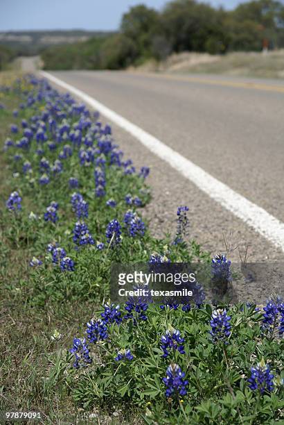 texas highway - texas bluebonnets stock pictures, royalty-free photos & images