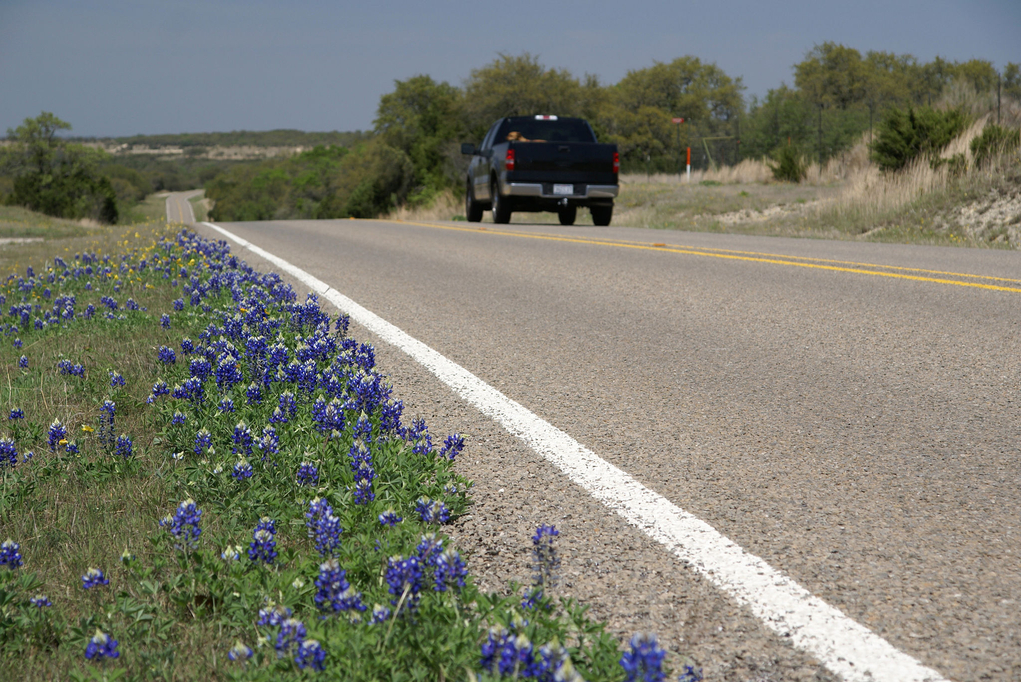 texas summer car