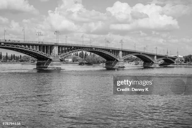 theodor-heuss-bridge - theodor heuss imagens e fotografias de stock