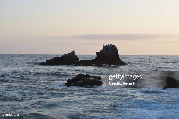 seal rock - crescent bay - seal bay stock pictures, royalty-free photos & images