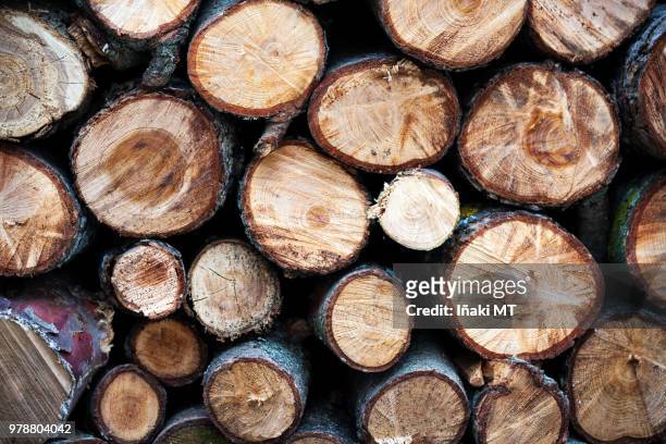 wood - iñaki mt stock pictures, royalty-free photos & images
