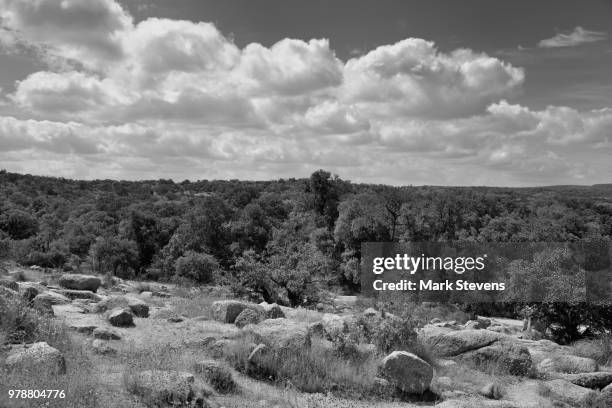 views around enchanted rock (black & white) - enchanted rock stock pictures, royalty-free photos & images