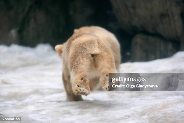 please, wait for me! - please wait stock pictures, royalty-free photos & images