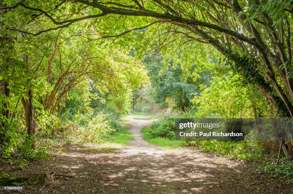 Wooded walk in Churchdown, Gloucester
