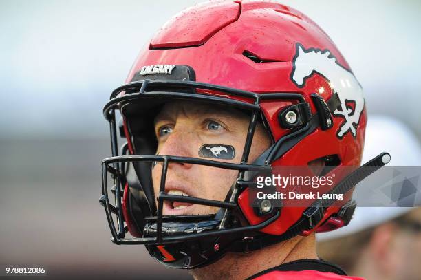 Bo Levi Mitchel of the Calgary Stampeders looks into the crowd after scoring a touchdown against the Hamilton Tiger-Cats during a CFL game at McMahon...
