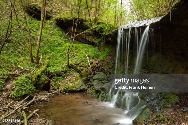 curtain - eifel stock pictures, royalty-free photos & images