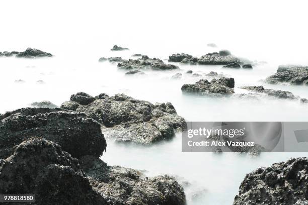 le croisic,france - le croisic bildbanksfoton och bilder