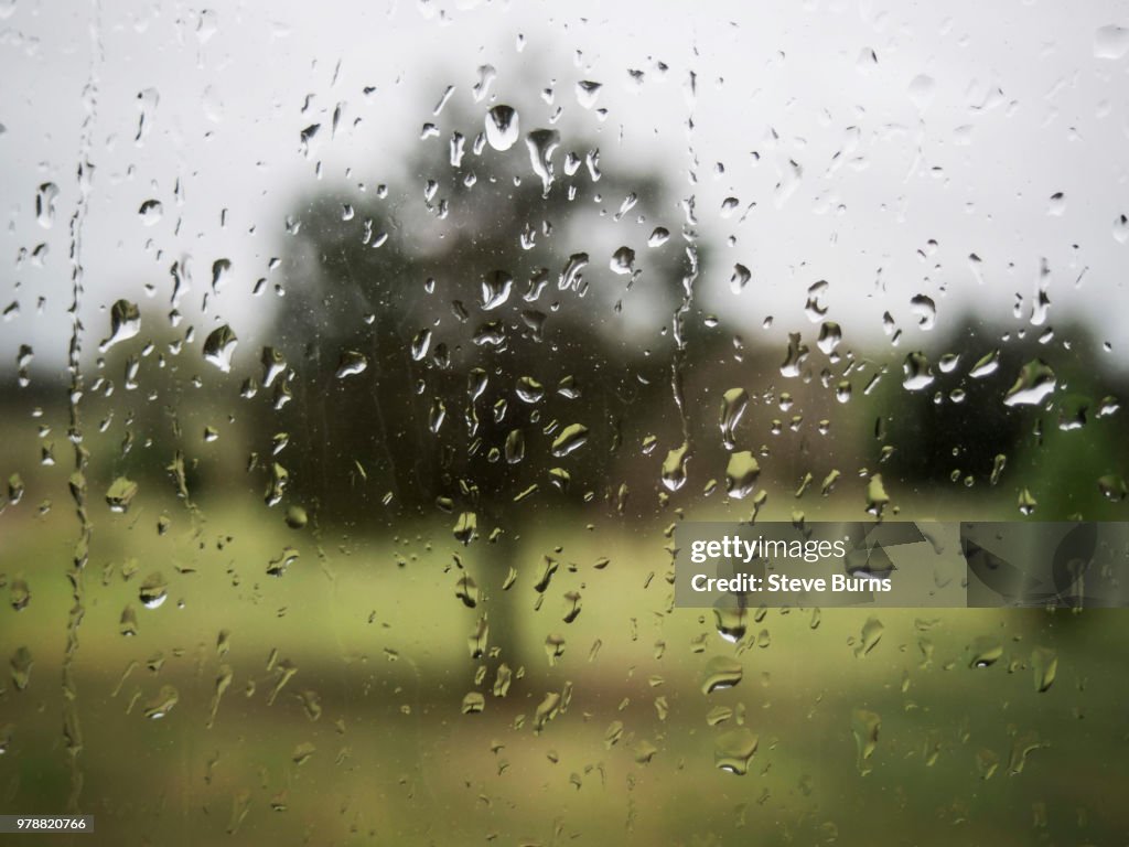 Rain on the Window