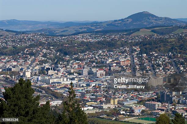 dunedin - otago stock pictures, royalty-free photos & images