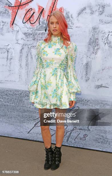 Mary Charteris attends the Serpentine Summper Party 2018 at The Serpentine Gallery on June 19, 2018 in London, England.