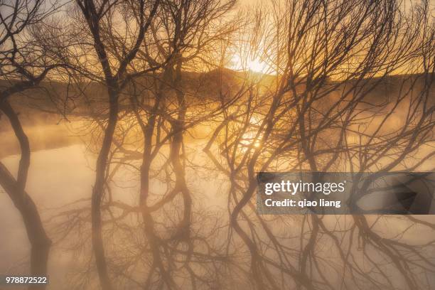 on the waterfront - qiao stock pictures, royalty-free photos & images