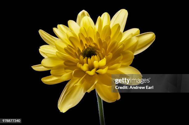 Spring Colour High-Res Stock Photo